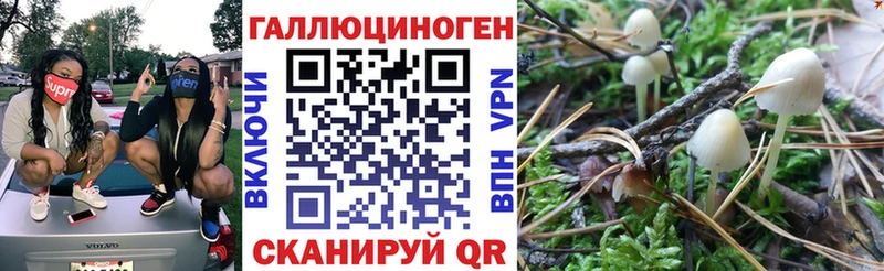 Псилоцибиновые грибы Psilocybe Цимлянск