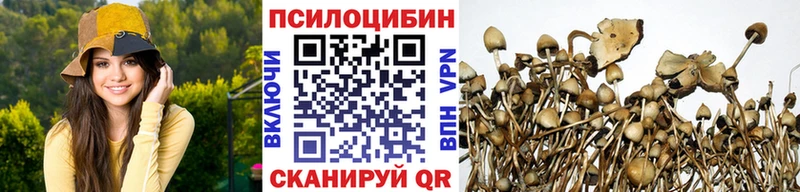 Галлюциногенные грибы Psilocybine cubensis  продажа наркотиков  Цимлянск 